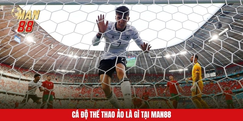 ca-do-the-thao-ao-la-gi-tai-man88