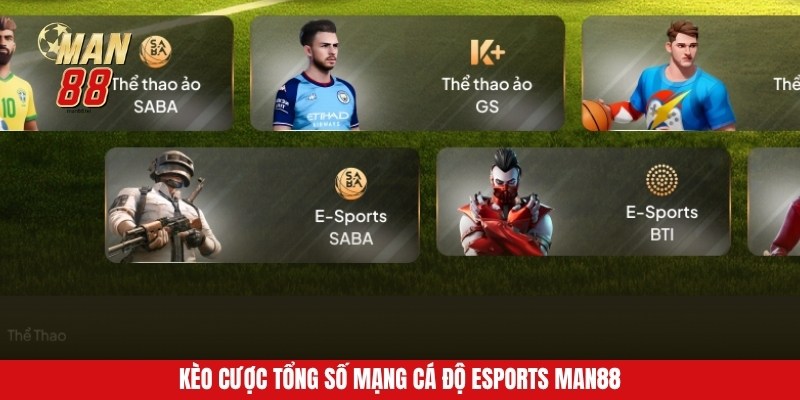 Kèo cược tổng số mạng cá độ Esports Man88