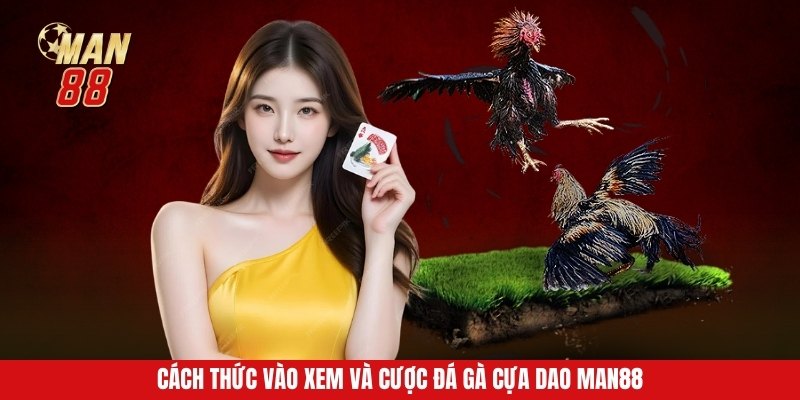Cách thức vào xem và cược đá gà cựa dao Man88